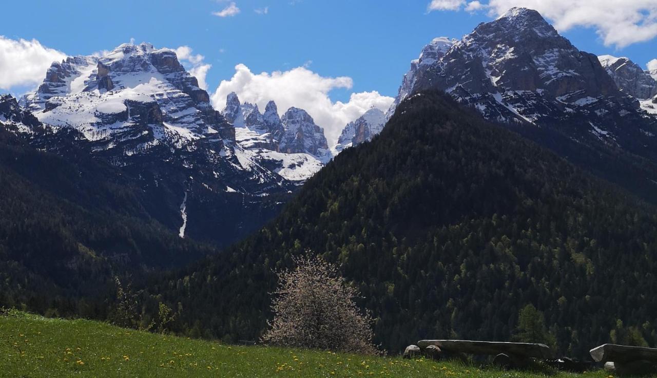Fogajard Lovely Chalet Madonna エクステリア 写真